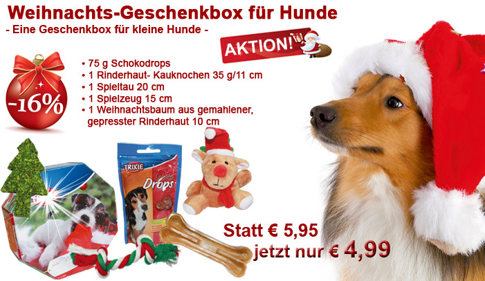 Weihnachtliche Werbung auf der Website von Schecker Hundebedarf